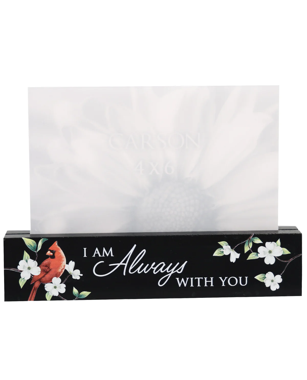 Always With You Photo Bar