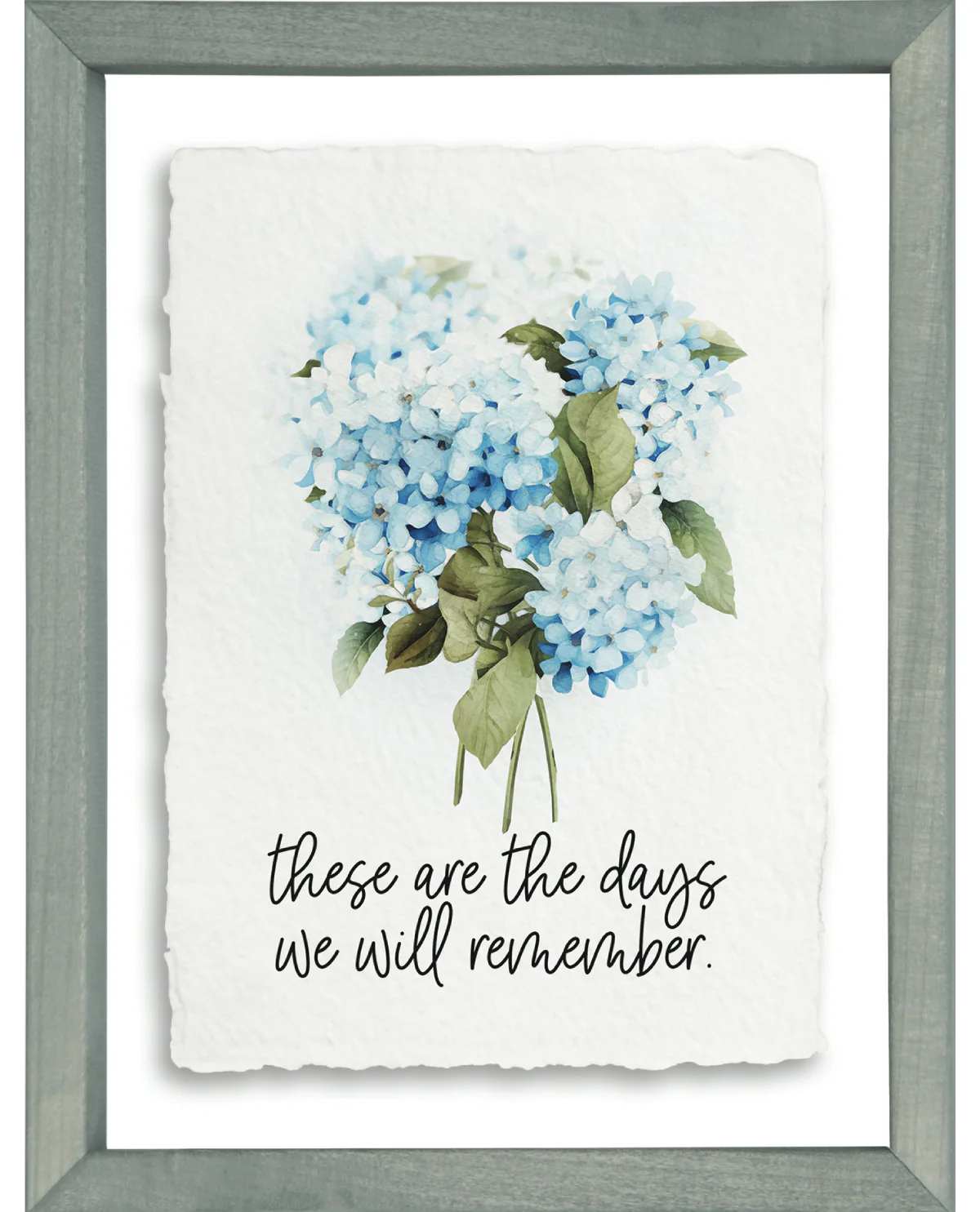 Days Remember Hydrangea